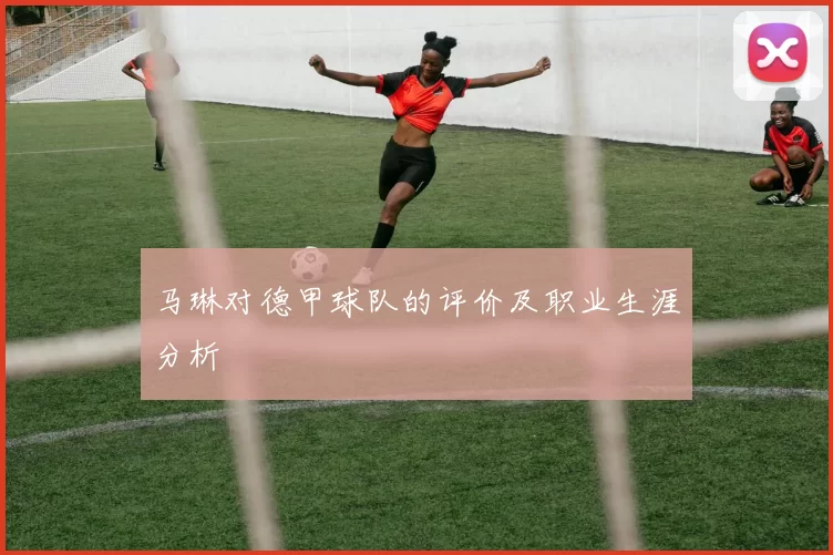 马琳对德甲球队的评价及职业生涯分析