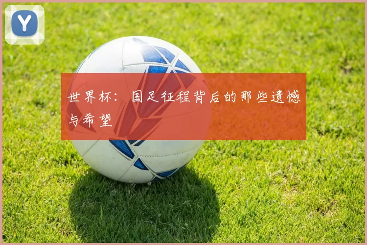 世界杯：国足征程背后的那些遗憾与希望