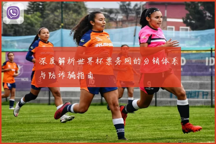 深度解析世界杯票务网的分销体系与防诈骗指南