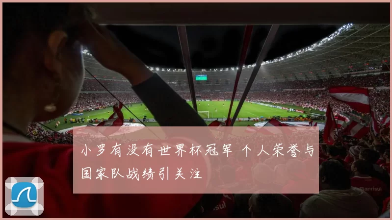 小罗有没有世界杯冠军 个人荣誉与国家队战绩引关注