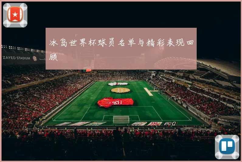 冰岛世界杯球员名单与精彩表现回顾