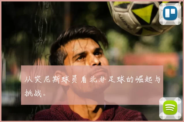 从突尼斯球员看北非足球的崛起与挑战。