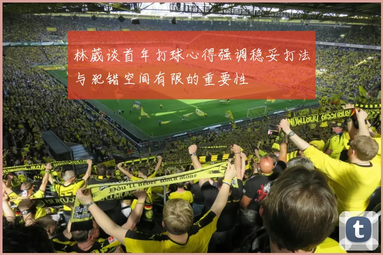 林葳谈首年打球心得强调稳妥打法与犯错空间有限的重要性