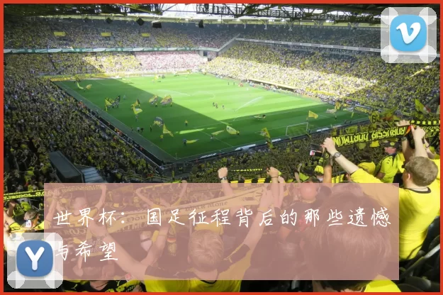 世界杯:国足征程背后的那些遗憾与希望