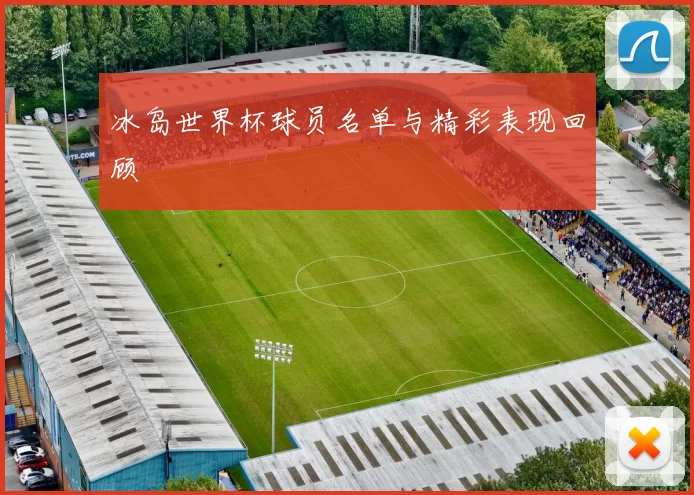 冰岛世界杯球员名单与精彩表现回顾