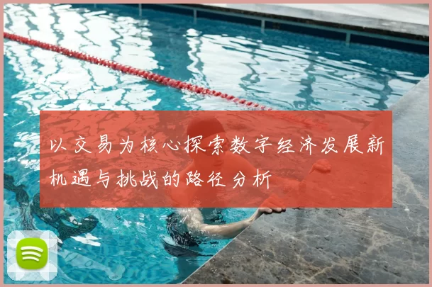以交易为核心探索数字经济发展新机遇与挑战的路径分析