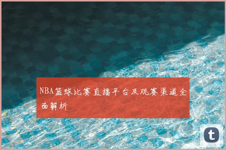 NBA篮球比赛直播平台及观赛渠道全面解析
