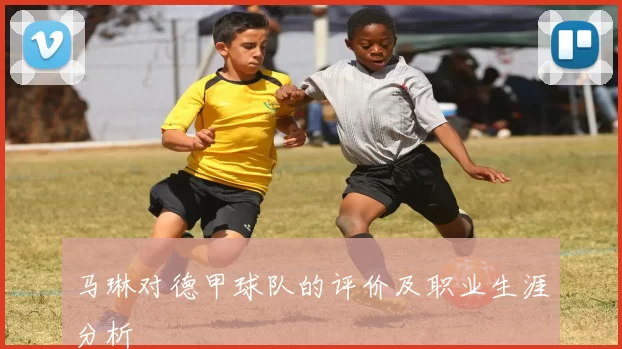 马琳对德甲球队的评价及职业生涯分析