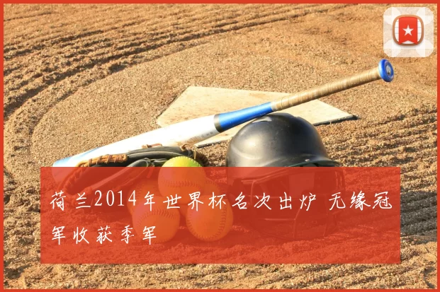 荷兰2014年世界杯名次出炉 无缘冠军收获季军