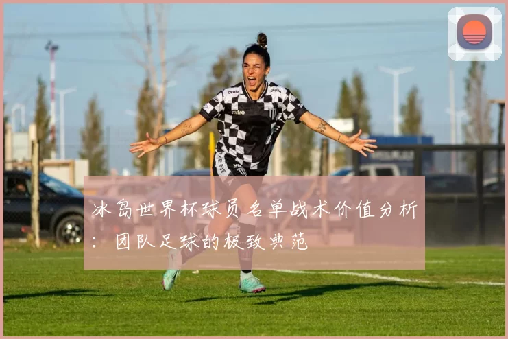 冰岛世界杯球员名单战术价值分析：团队足球的极致典范